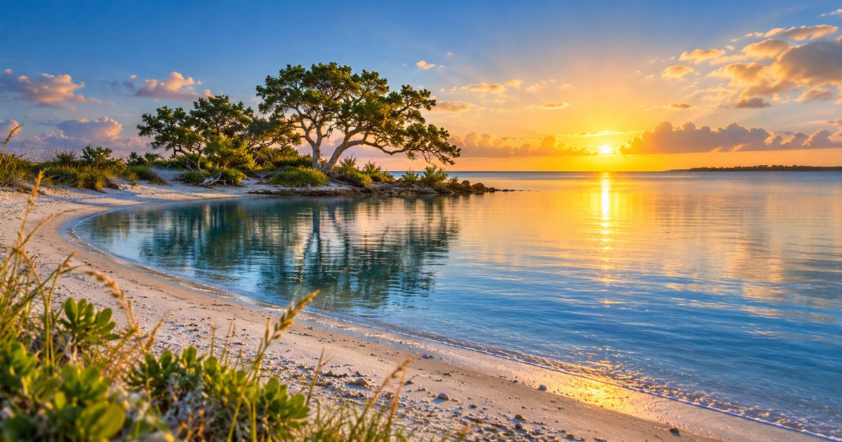 A calm sandy shore at sunrise, with trees reflected in still blue water.